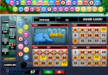 Boto Bingo Slot