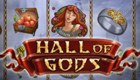 Hall of Gods slot